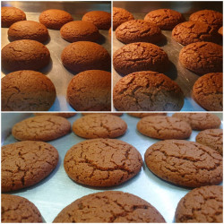 Vegan Molasses Cinamon Cookies